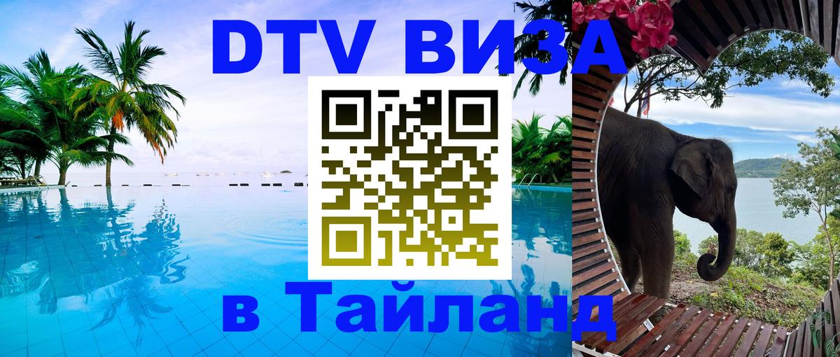 Сколько стоит DTV виза — актуальные цены, оформление даже без документов - 20.11.2025 